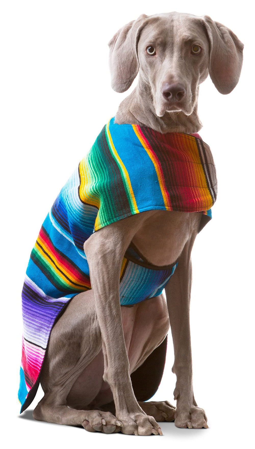 Baja Ponchos ideal para Halloween, Cinco de Mayo y Navidad.