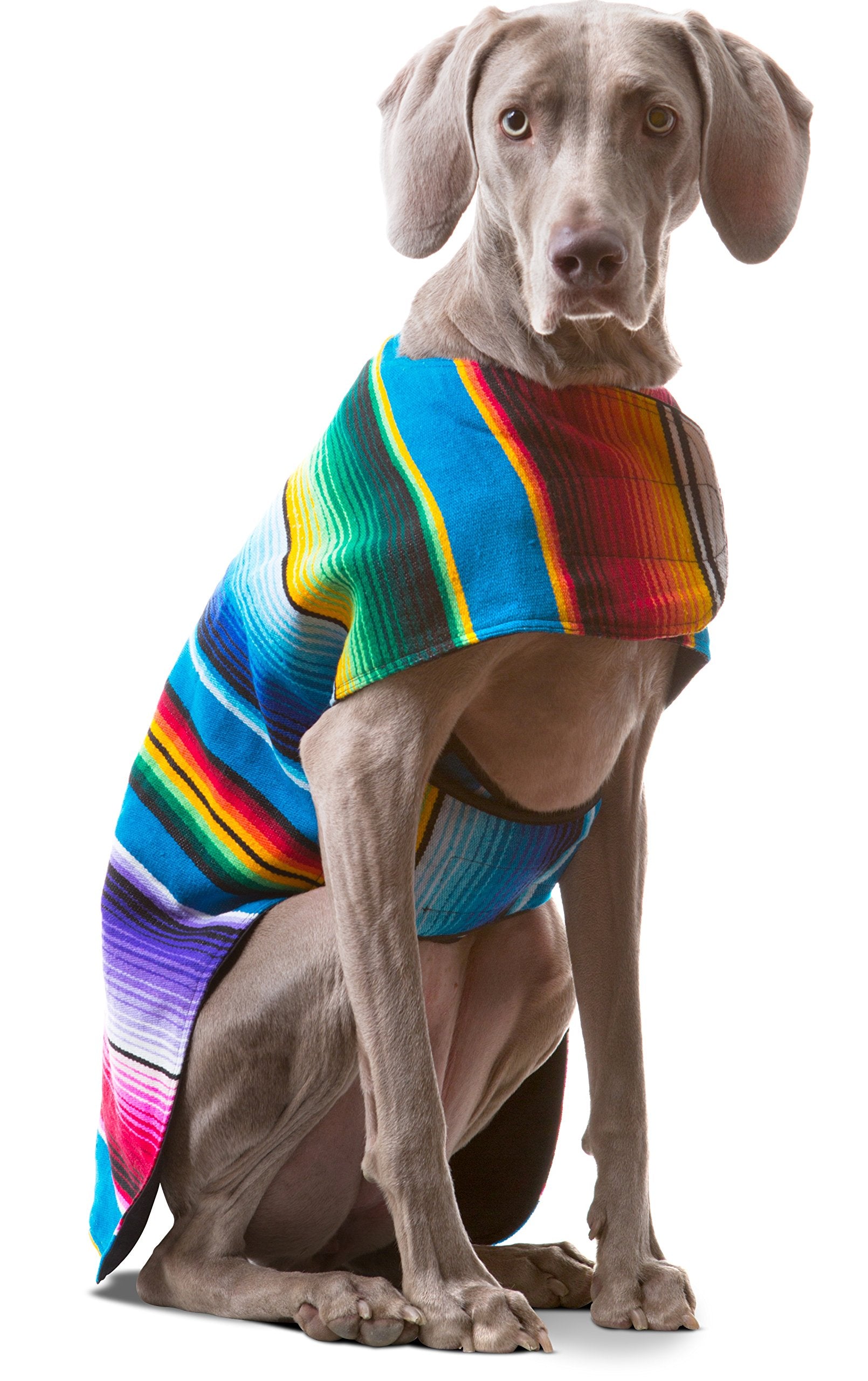 Baja Ponchos poncho para perro azul XXL ideal para paseos cómodos.