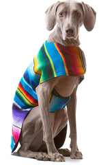 Baja Ponchos poncho para perro azul XXL ideal para paseos cómodos.