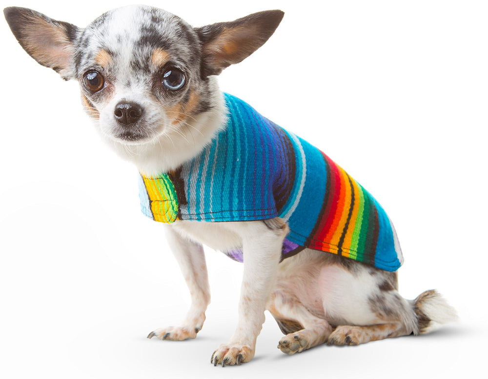 Poncho para perro Baja Ponchos en manta azul XXS, cómodo para paseos.