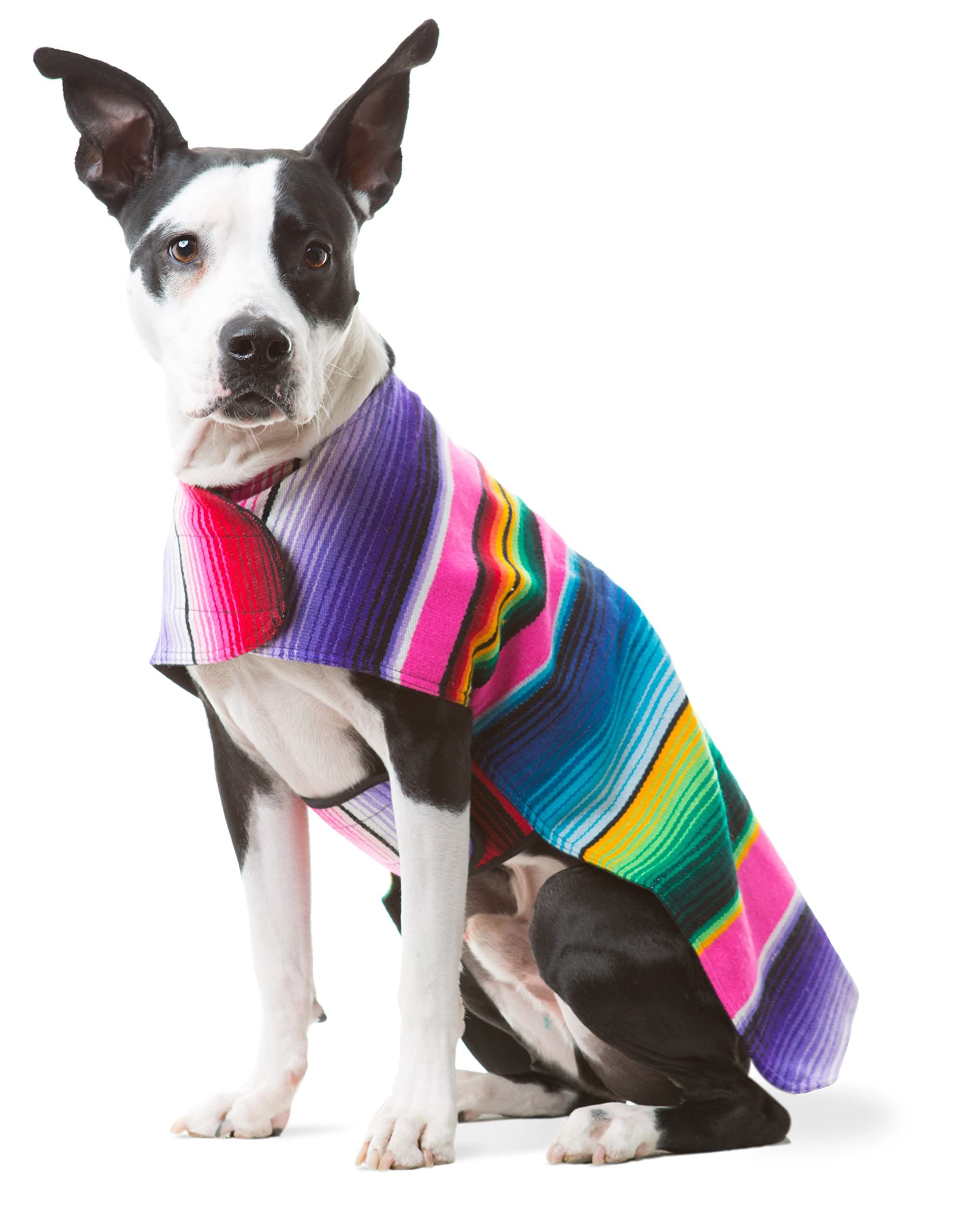 Baja Ponchos uso anti-ansiedad durante tormentas, ayuda a calmar al animal.