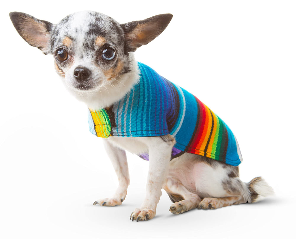 Baja Ponchos uso multifuncional ideal para paseos fiestas y disfraces.