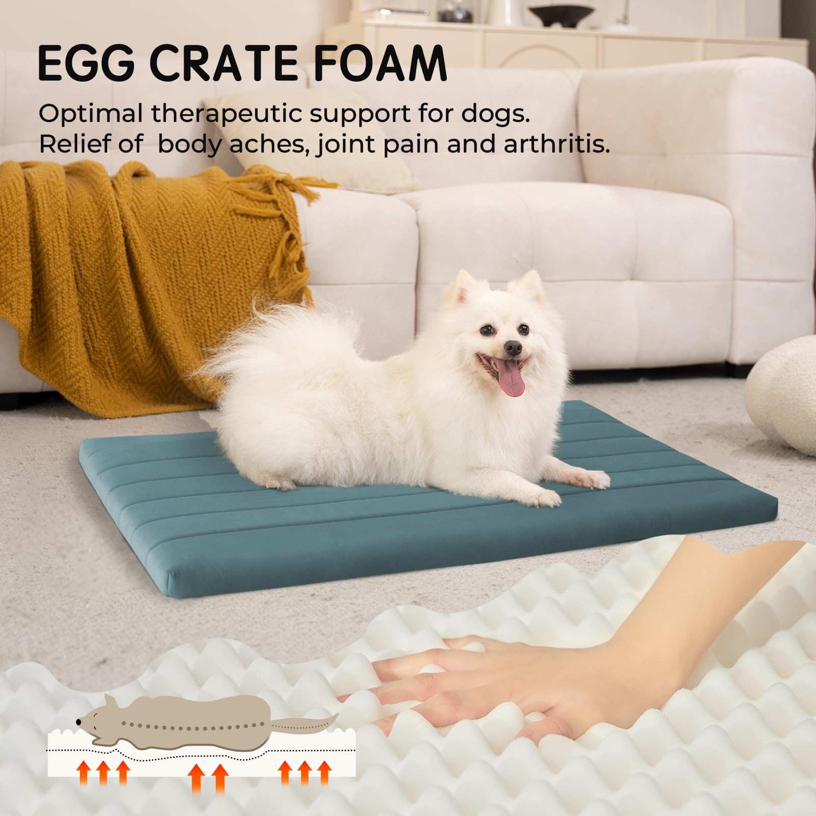 BALANCE Dog Crate Bed espuma de alta densidad para soporte de articulaciones.