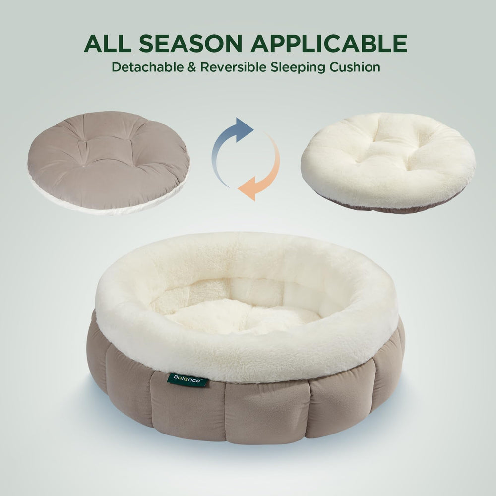 BALANCE cama-gato-cojin-removible-lavable: cojín desmontable para lavar
