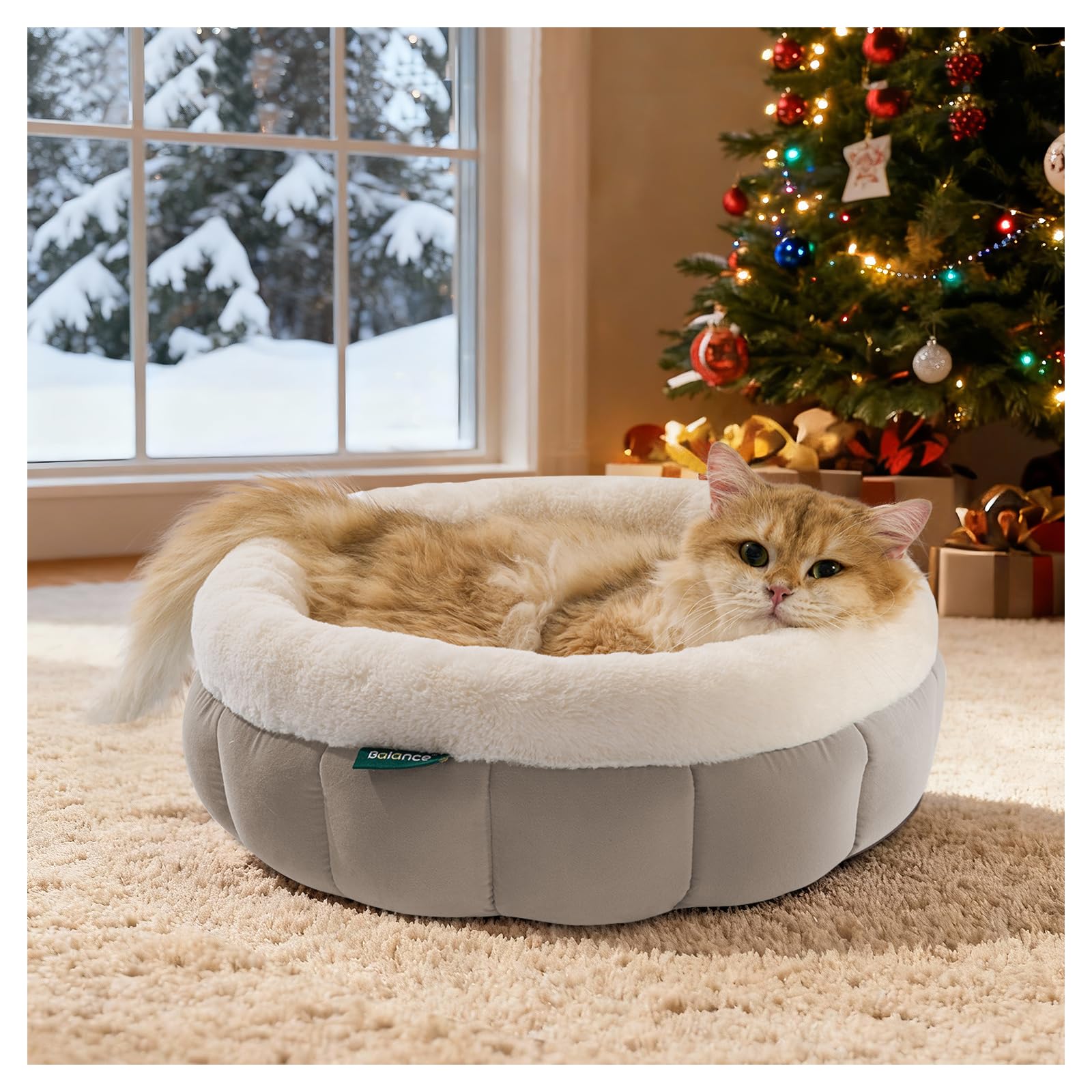 BALANCE cama-gato-redonda-18pulgadas: cama cómoda para gatos pequeños para descanso profundo