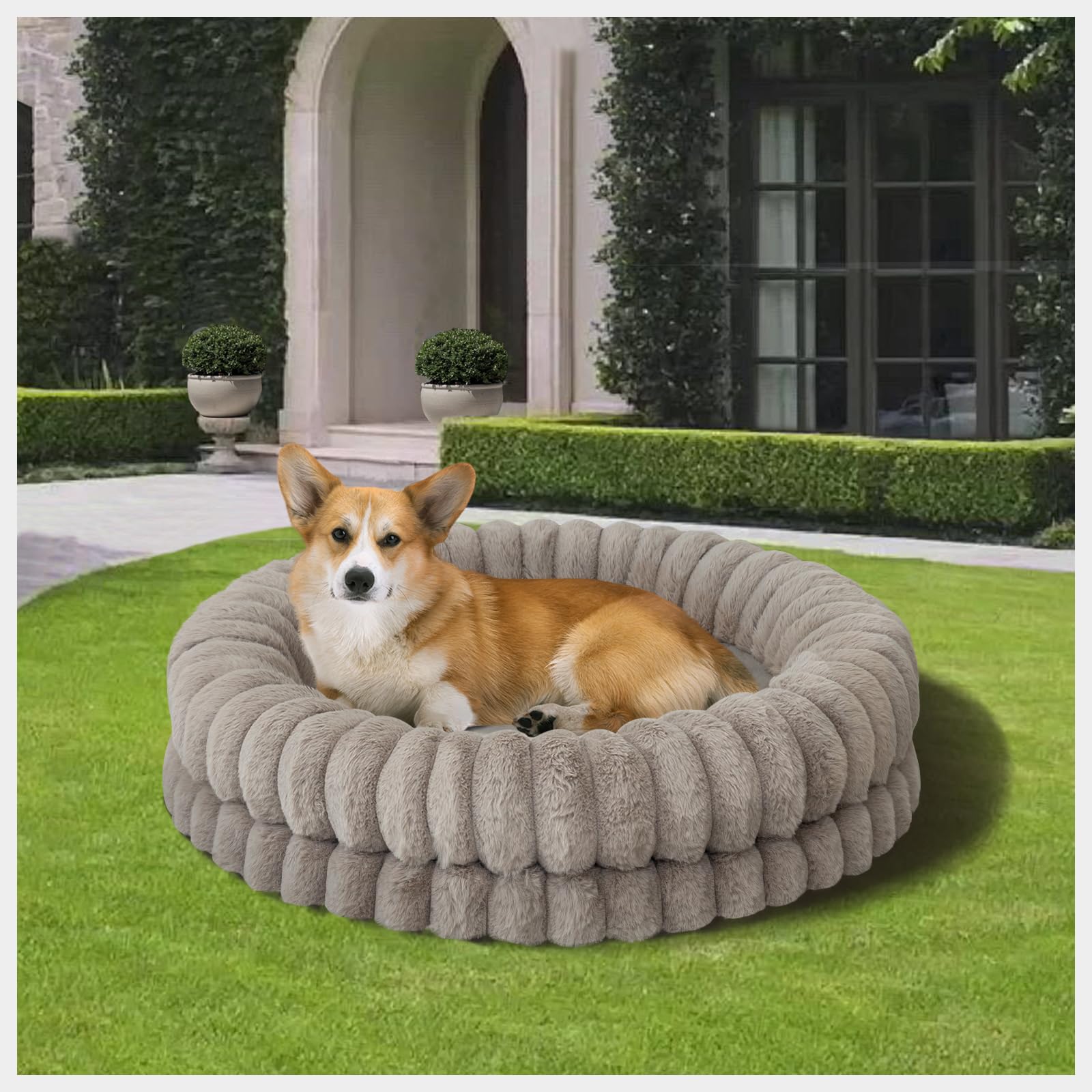 BALANCE cama donut color avena, diseño neutro que combina con el hogar.