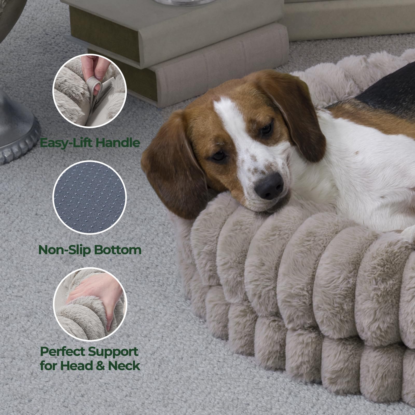 BALANCE cama donut tamaño mediano, ideal para gatos y perros medianos.