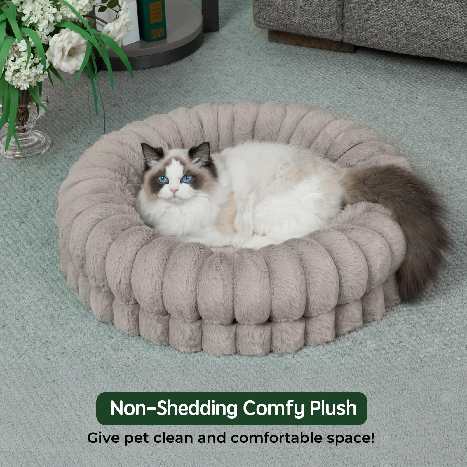 BALANCE cama para perros pequeños, techo lujoso de peluche suave y confortable