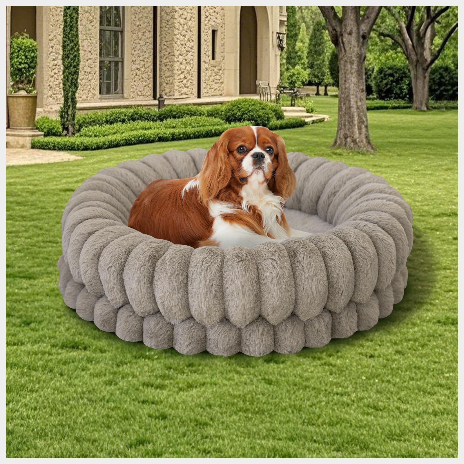 BALANCE cama para uso diario, ideal para interiores y descanso cómodo