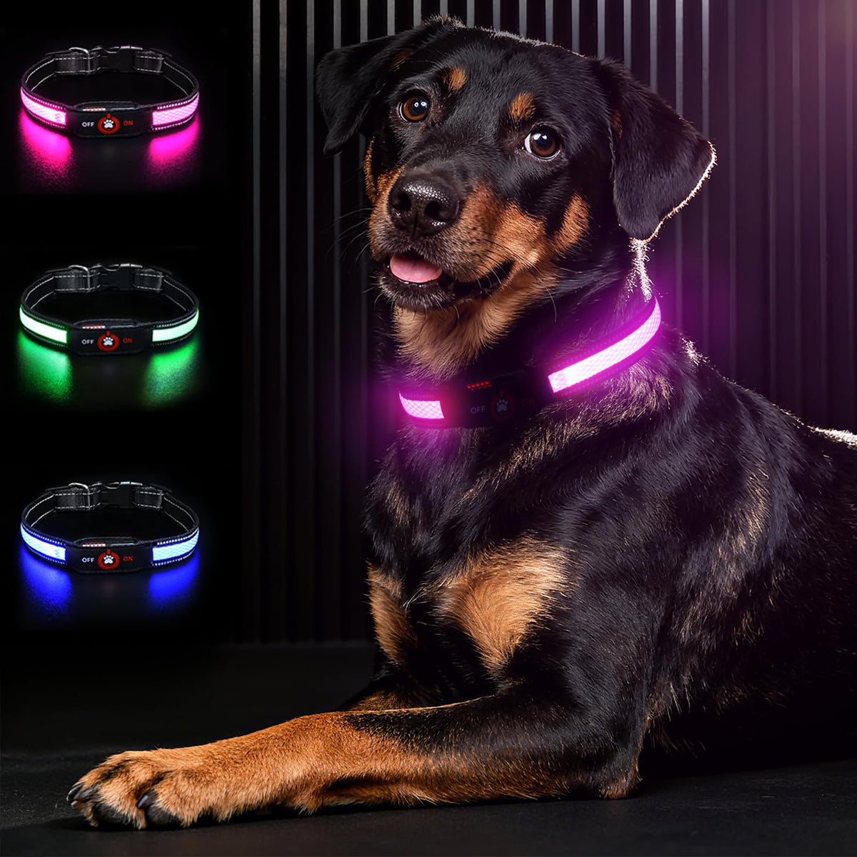 Bamda collar lumínico rosa, vista frontal, alta visibilidad para paseos nocturnos.