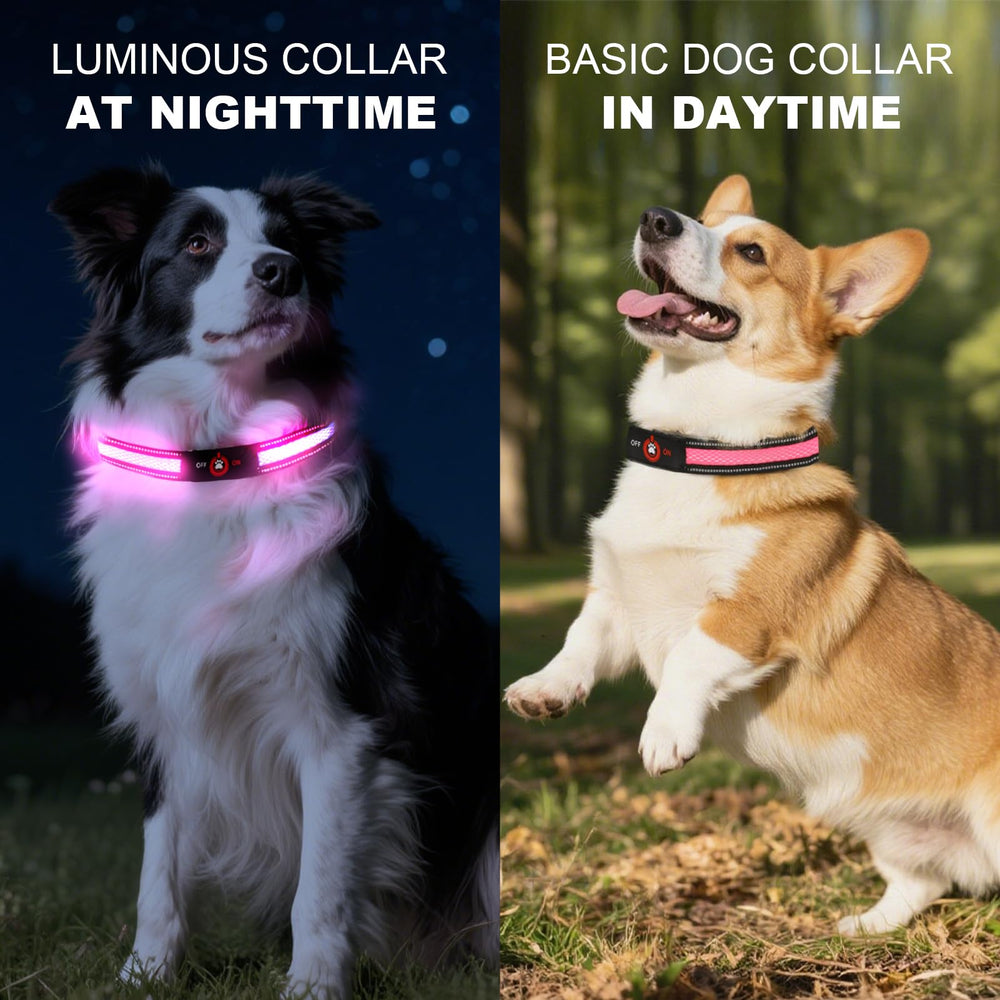Bamda collar lumínico rosa, resistencia de 800N, durable para perros activos.