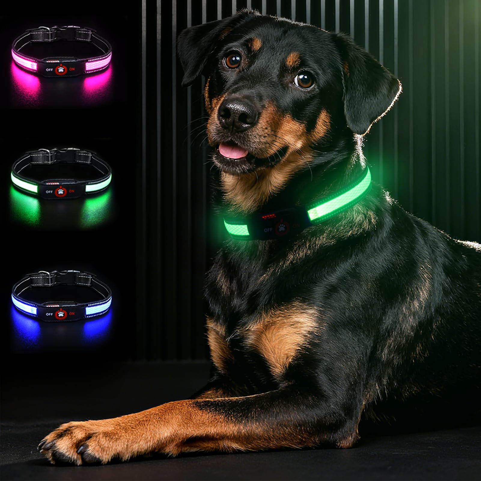 Collar Bamda LED con luz de 270° para mayor visibilidad nocturna.