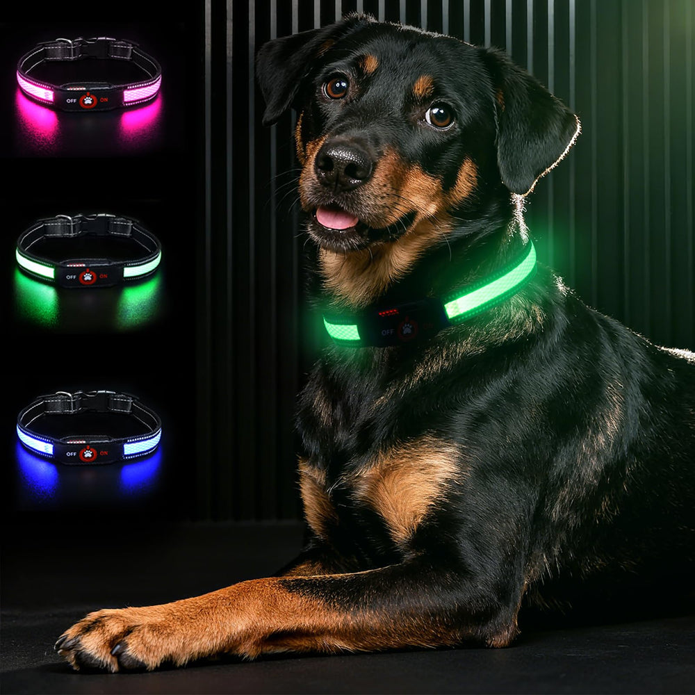 Collar Bamda LED con luz de 270° para mayor visibilidad nocturna.