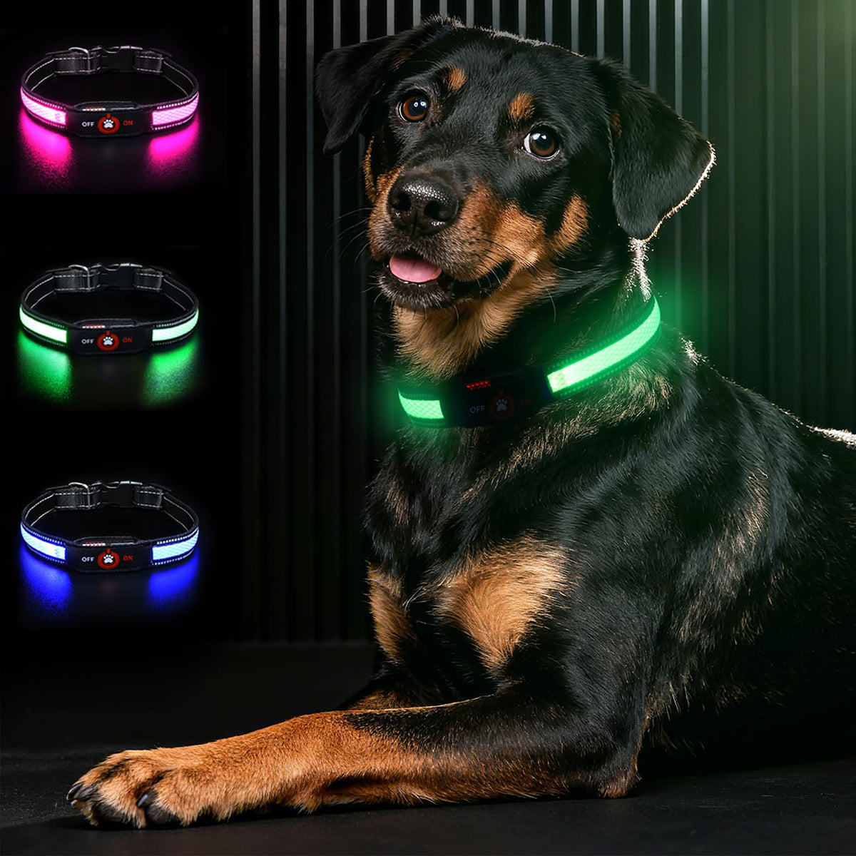Collar Bamda LED con luz de 270° para mayor visibilidad nocturna.