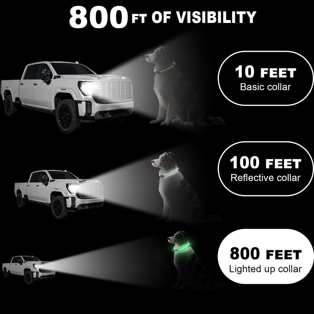 Collar Bamda LED con batería de 300mAh para mayor duración.