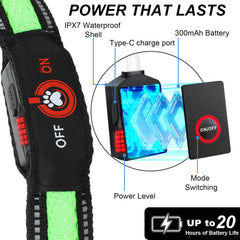 Collar Bamda LED resistente en nylon soporta mordidas y uso diario.