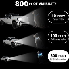 Bamda collar LED con iluminación 270° para paseos nocturnos seguros