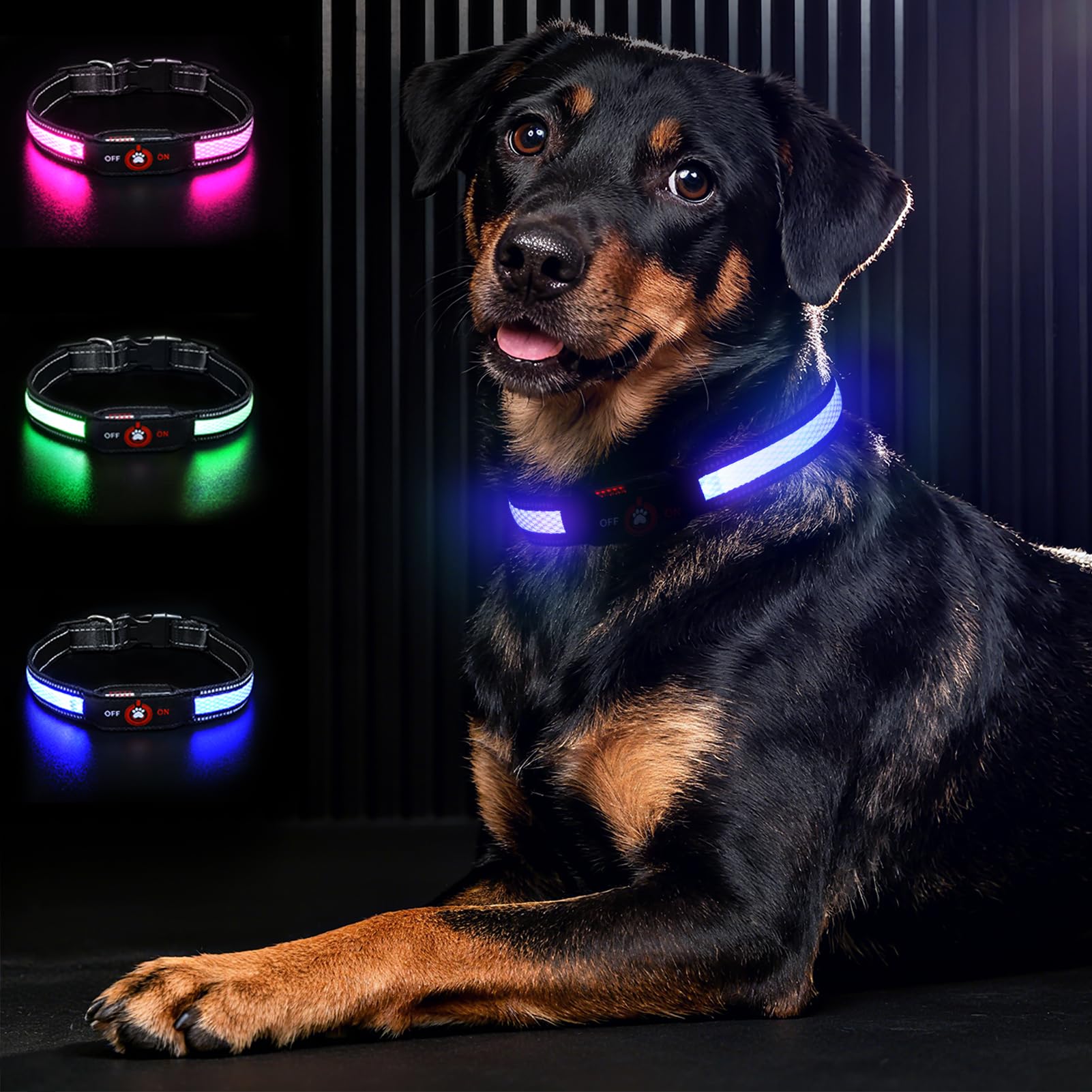 Bamda collar perro con luz azul para visibilidad nocturna y seguridad