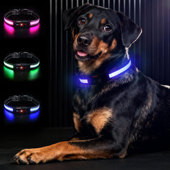 Bamda collar perro con luz azul para visibilidad nocturna y seguridad