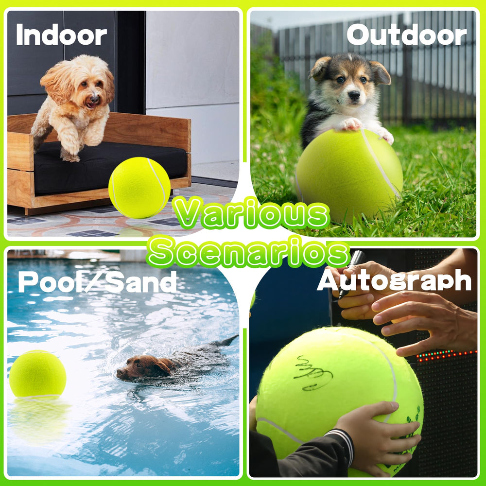 Banfeng entrenamiento al aire libre con balón de tenis grande para perros.