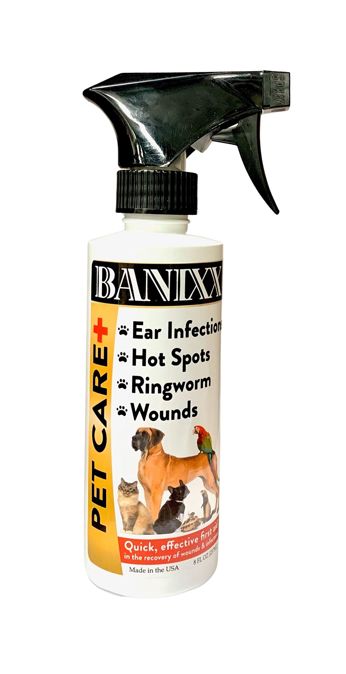 Banixx aplicación en pezuñas y patas para cuidado diario