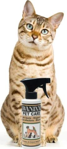 Banixx sin alcohol ni esteroides para seguridad de mascotas sensibles