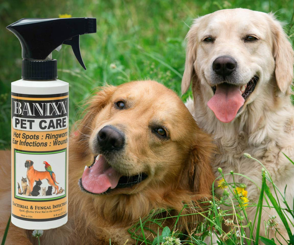 Banixx apto para caballos, perros y gatos, ideal para hogares múltiples