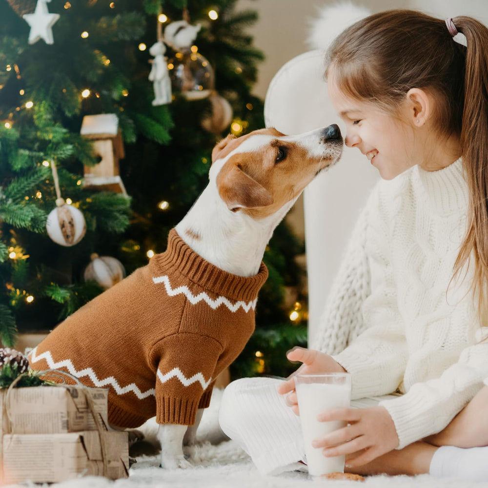 Baobicute diseño cárdigan navidad en mascota con estilo festivo