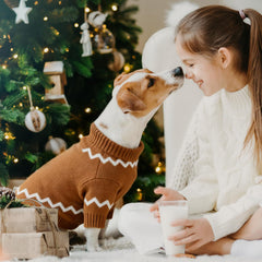 Baobicute diseño cárdigan navidad en mascota con estilo festivo