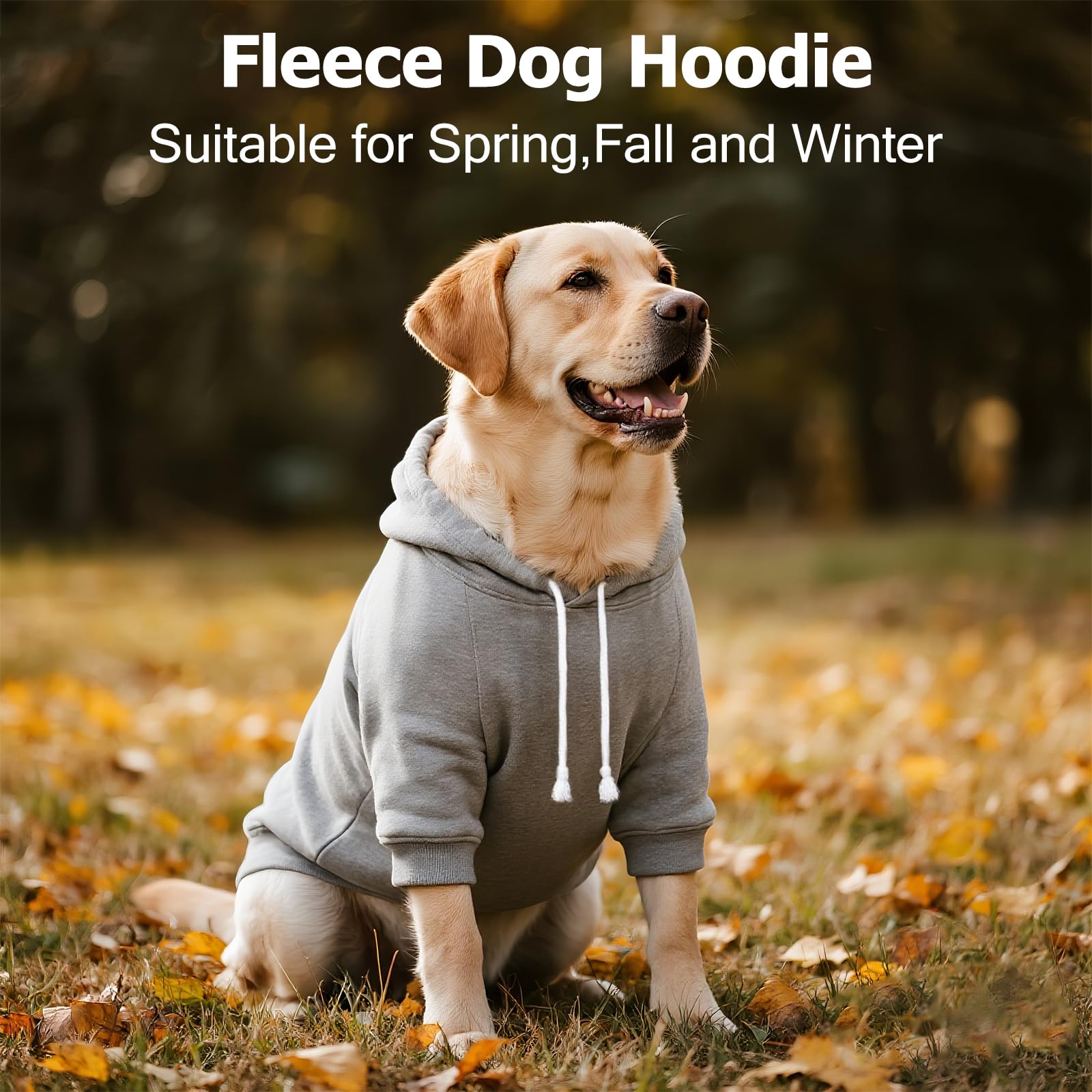 Baobicute Dog Basic Hoodie capucha-3d: cobertura total de orejas