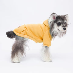 Baobicute sudadera perro capucha, mantiene caliente a tu perro durante salidas.