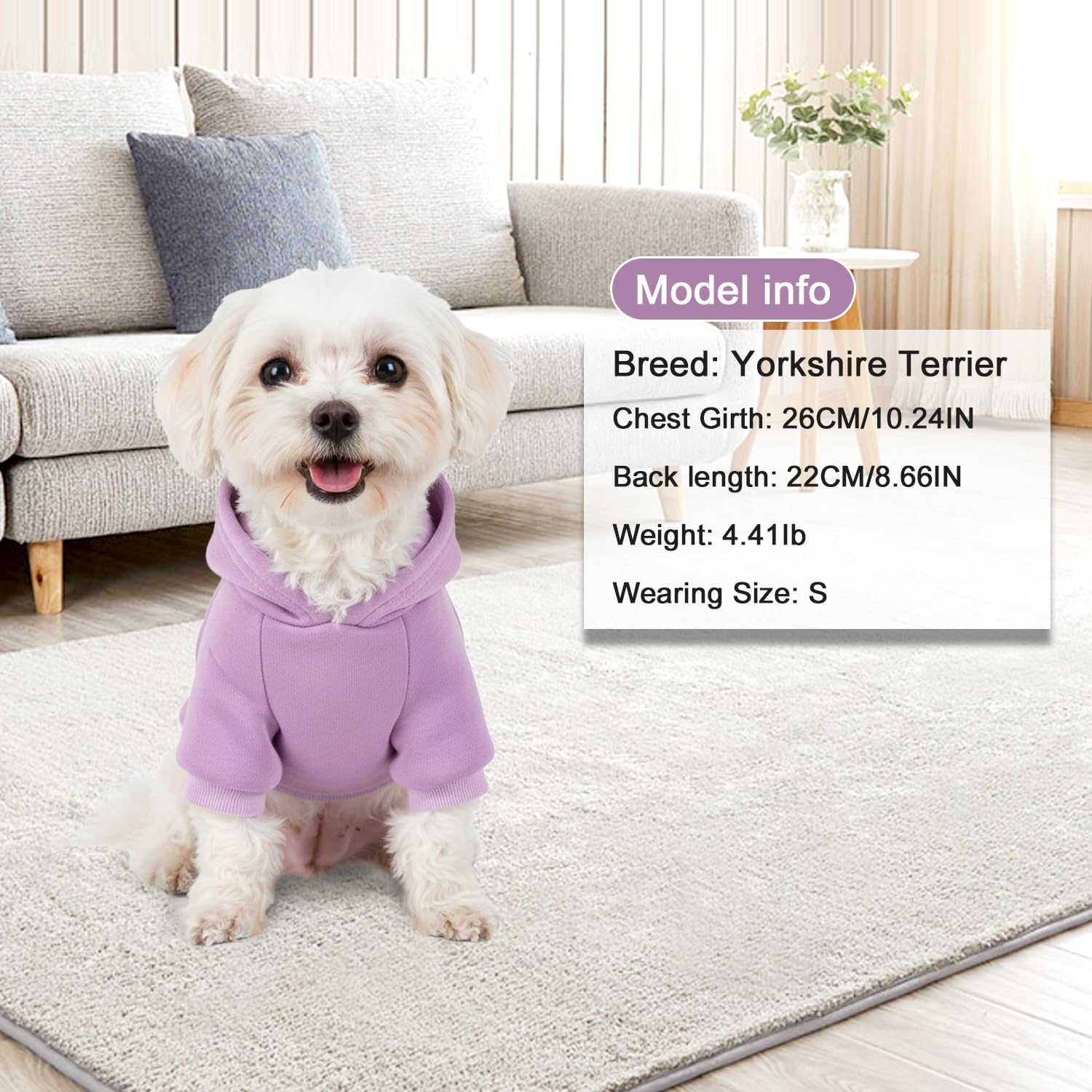 BAOBICUTE sudadera para perro con bolsillo ideal para premios durante el paseo.