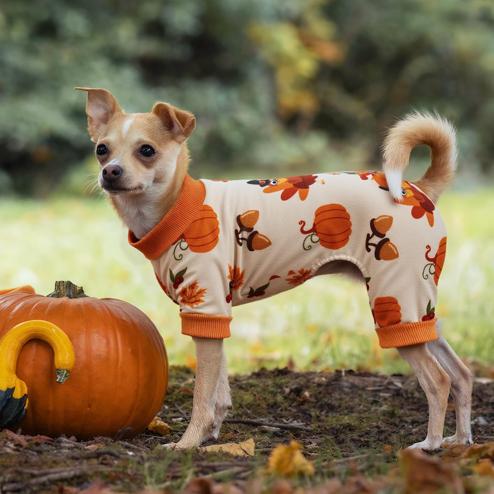 BAOBICUTE pijama para perro uso diario: ideal para dormir y descansar en casa