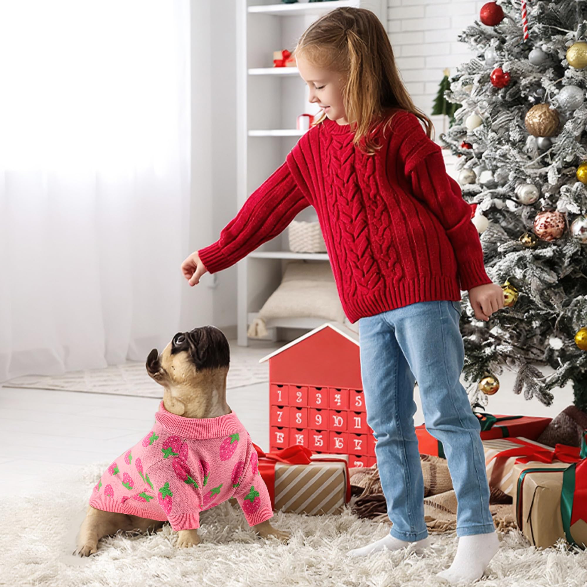 Baobicute sudadera perro fresa escena invierno, ideal para paseos en clima frío