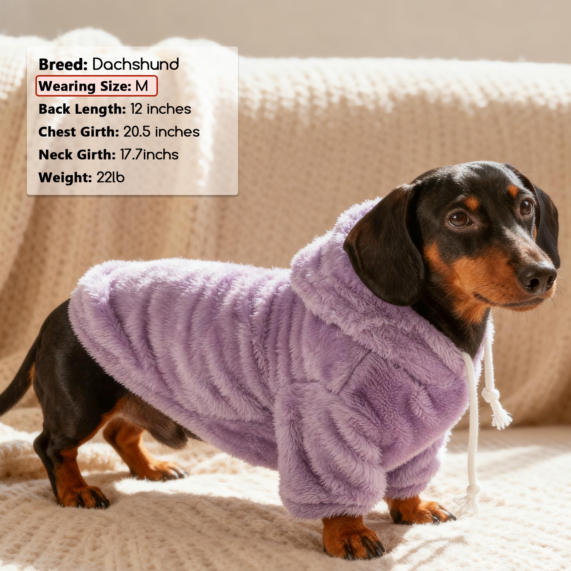 Baobicute sudadera para perro, regalo navideño ideal para paseos