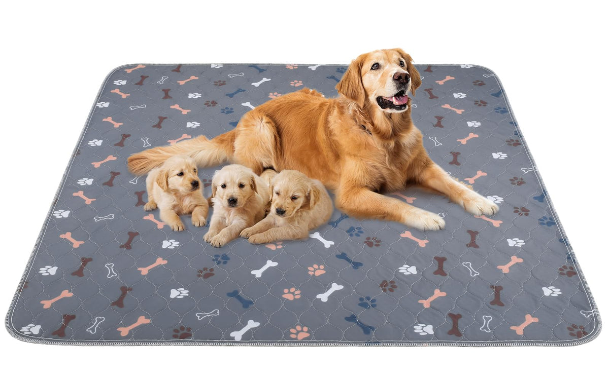 Baodan: toallas lavables para perros, enfoque en entrenamiento y protección de suelos.
