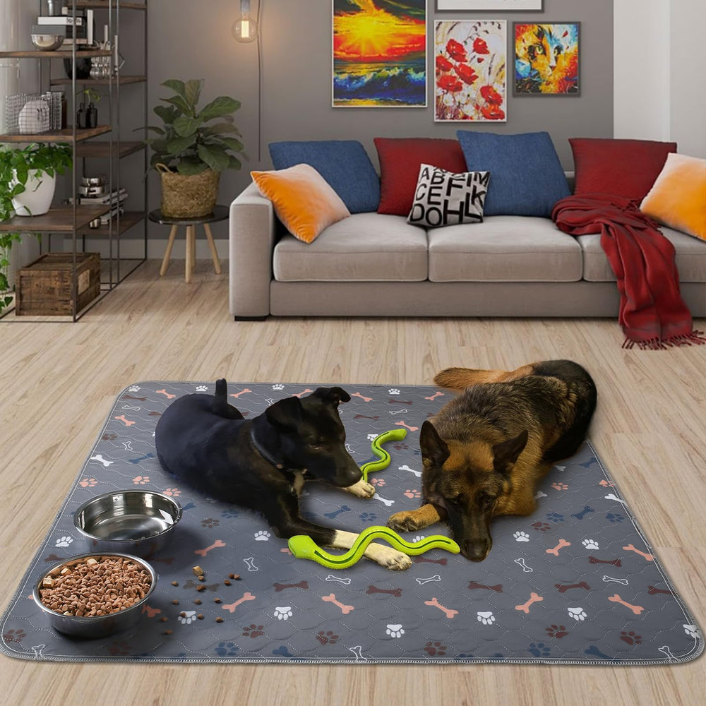 Baodan: uso múltiple para entrenamiento y juego de perros en interiores y exteriores.