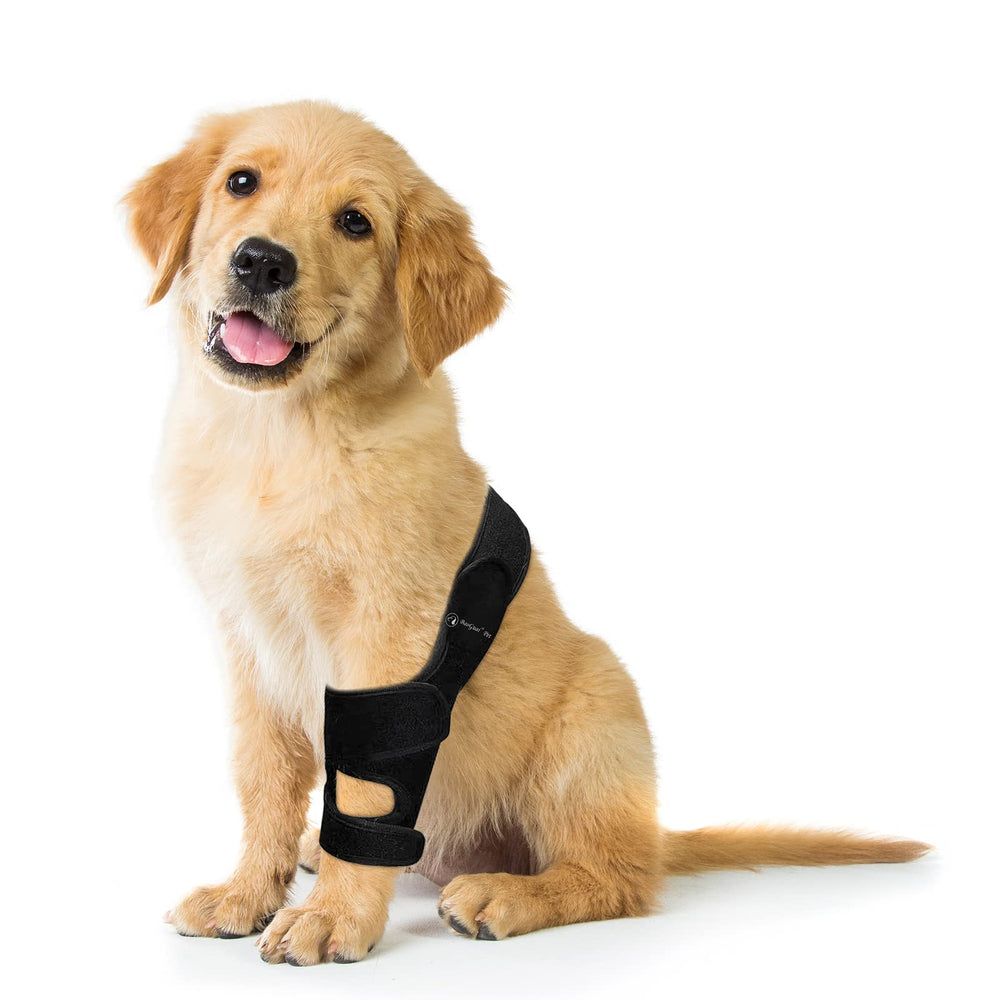 BaoGuai rodillera para perro disponible en tallas variadas