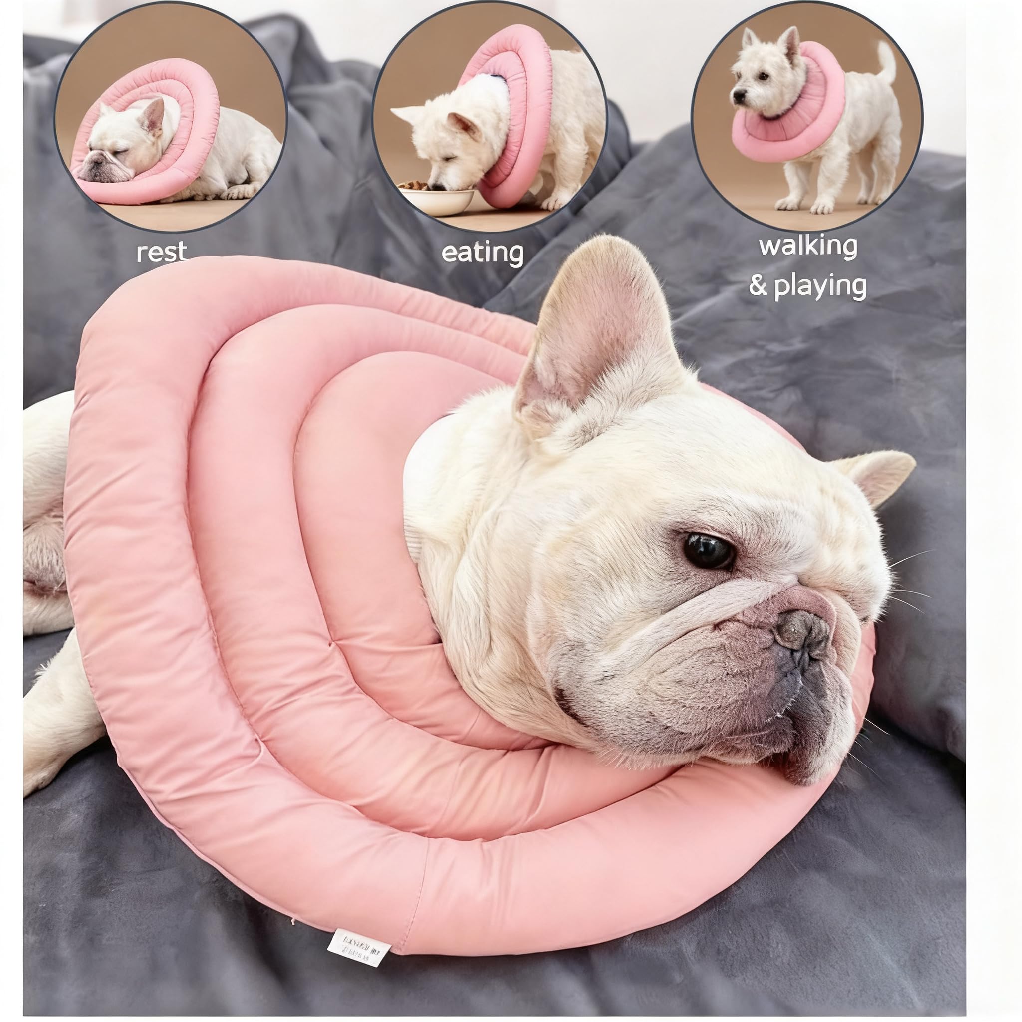 BARDIMIES collar en forma de dona evita que el perro se quite durante la recuperación.