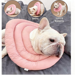 BARDIMIES collar en forma de dona evita que el perro se quite durante la recuperación.