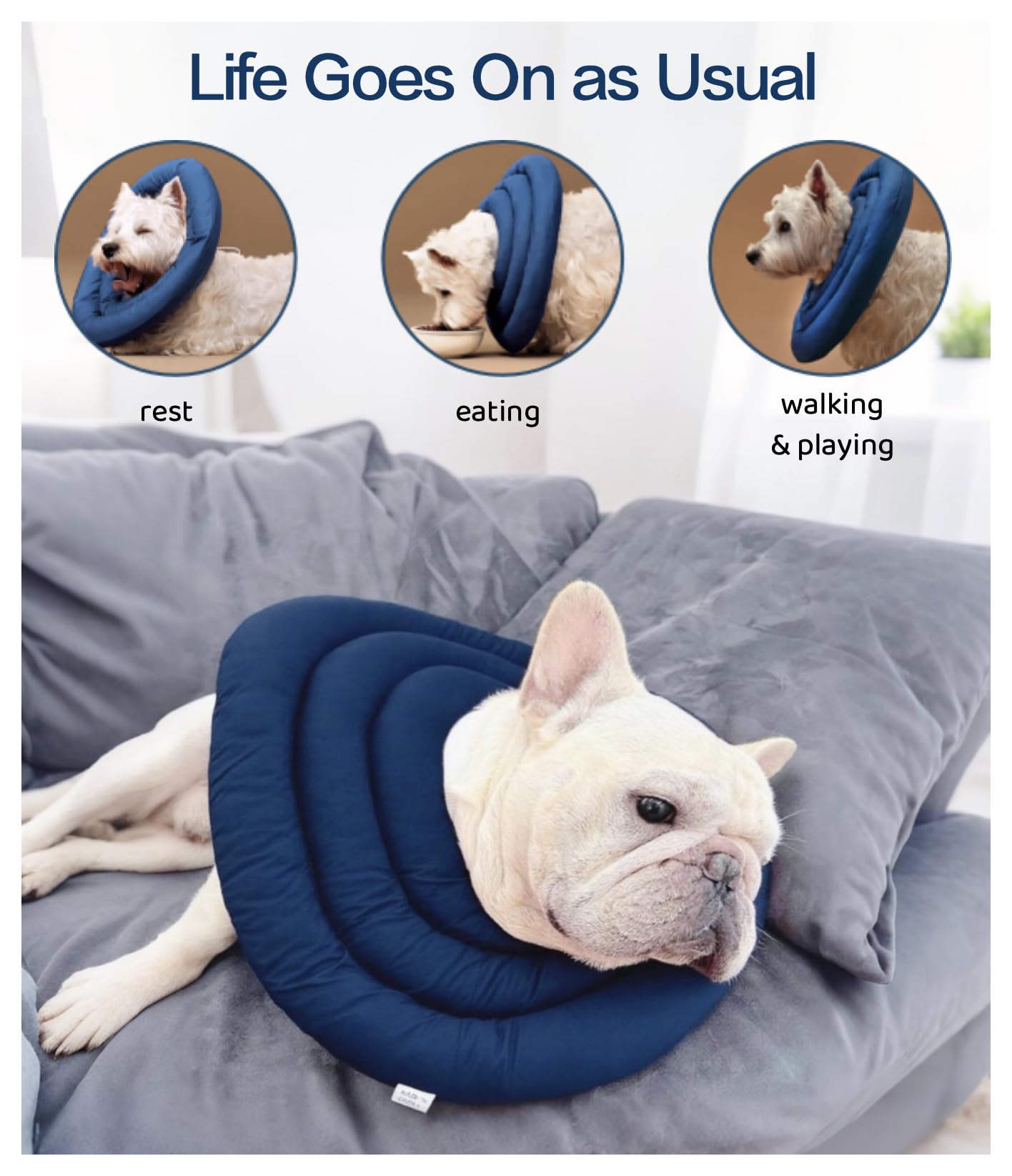 BARDIMIES tejido impermeable facilita limpieza y mantiene el collar limpio.