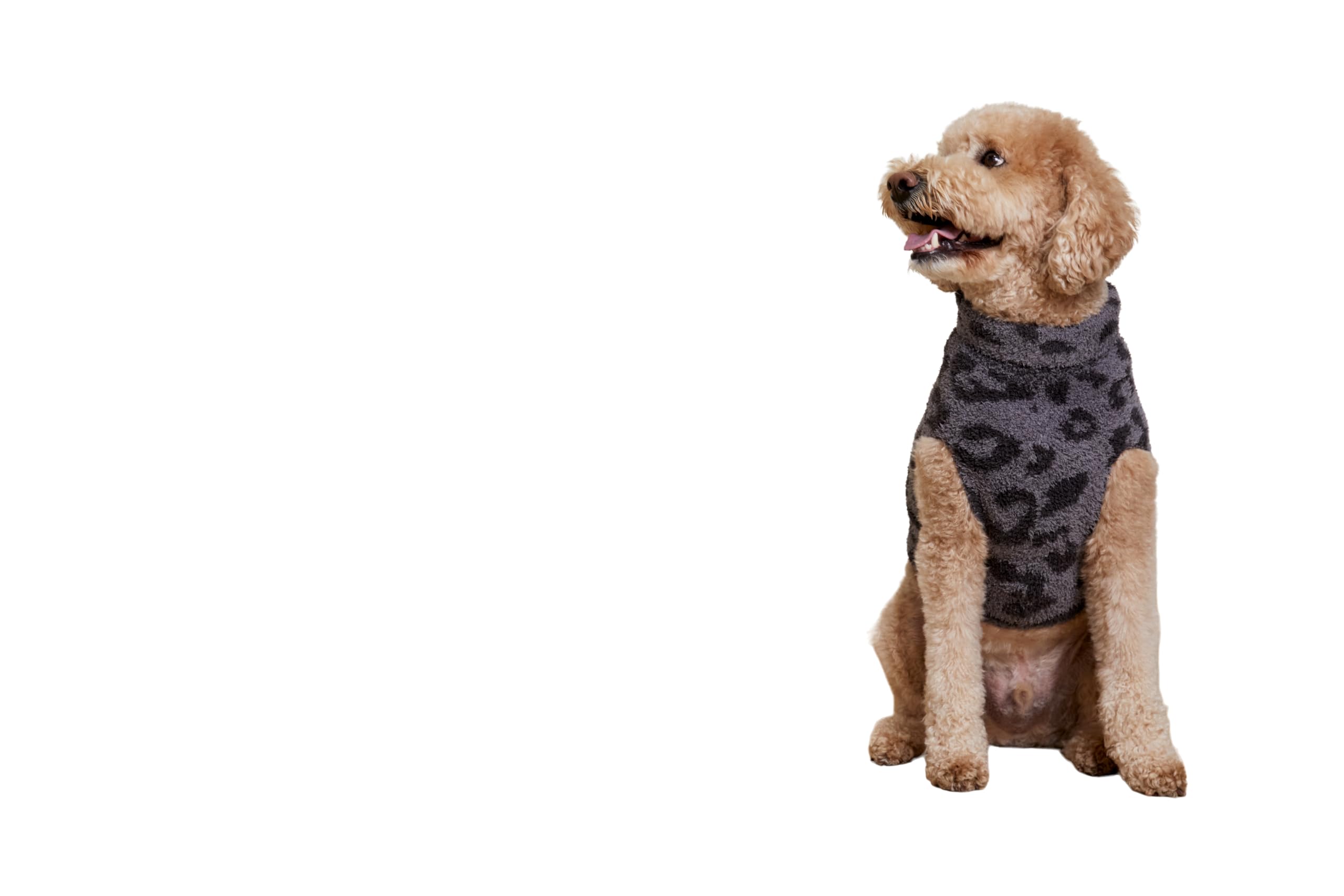 Barefoot Dreams CozyChic suéter para mascotas, cuello enrollable, ajuste suave para climas frescos.