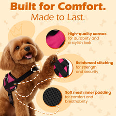 Arnés Bark Appeal XL borde reflectante para paseos nocturnos seguros