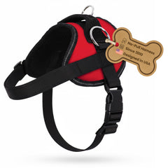 Arnés Bark Appeal Rojo XL con ajuste personalizado para comodidad diaria del perro.