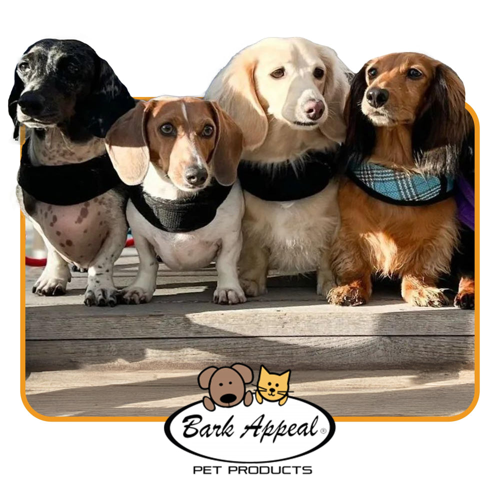 Bark Appeal arnés XS ideal para mascotas pequeñas.