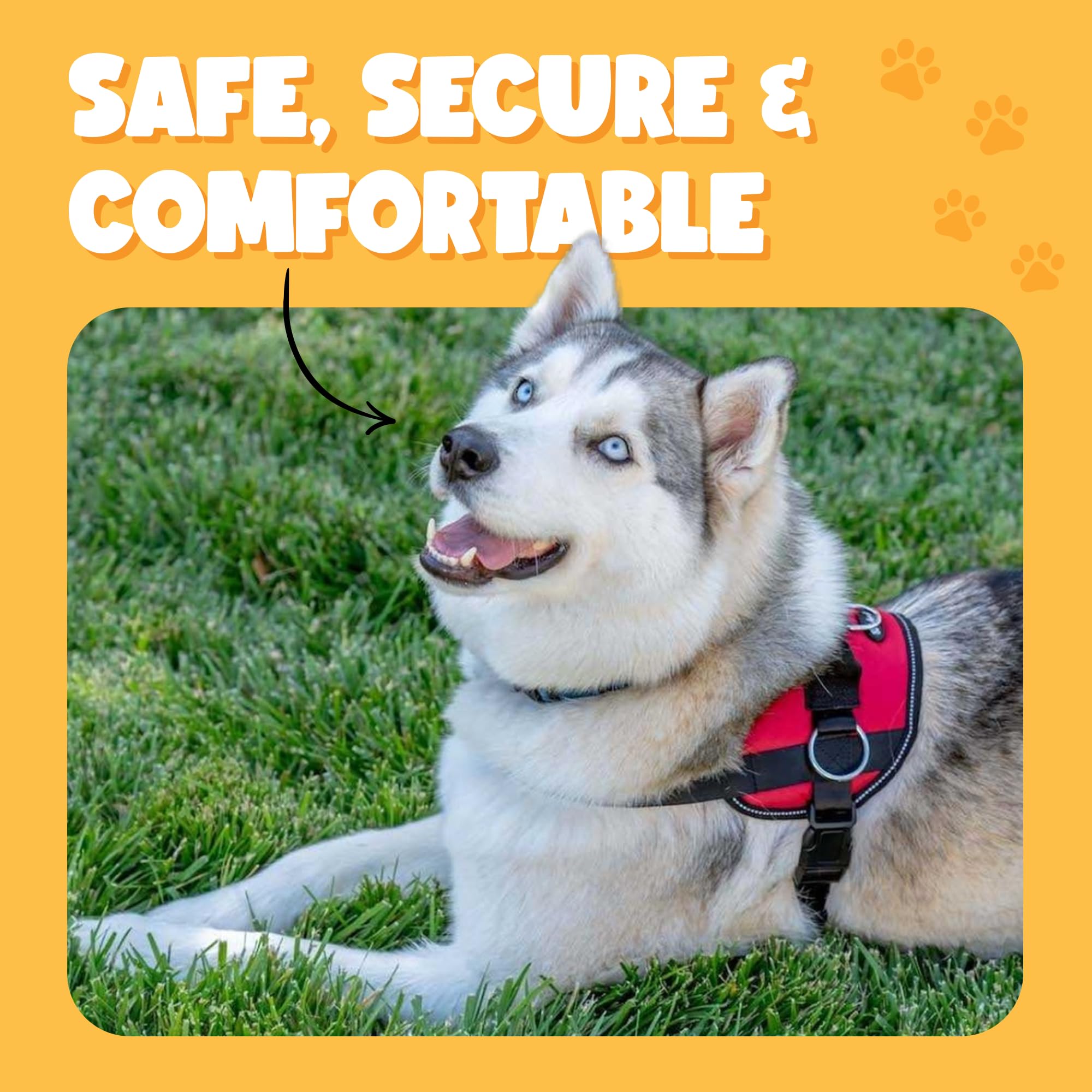 Mango de control para facilitar paseos y entrenamiento con Bark Appeal.