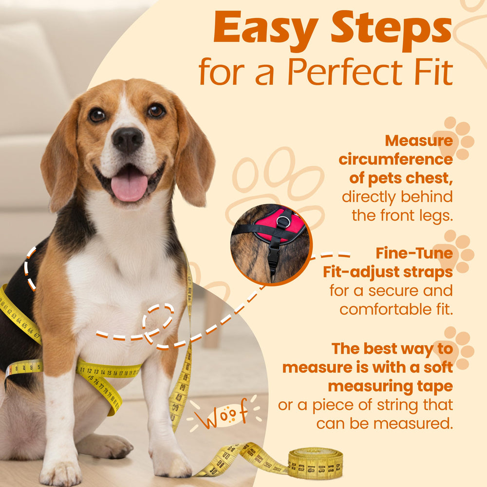 Bark Appeal arnés con tres puntos de enganche rosa XL añade control