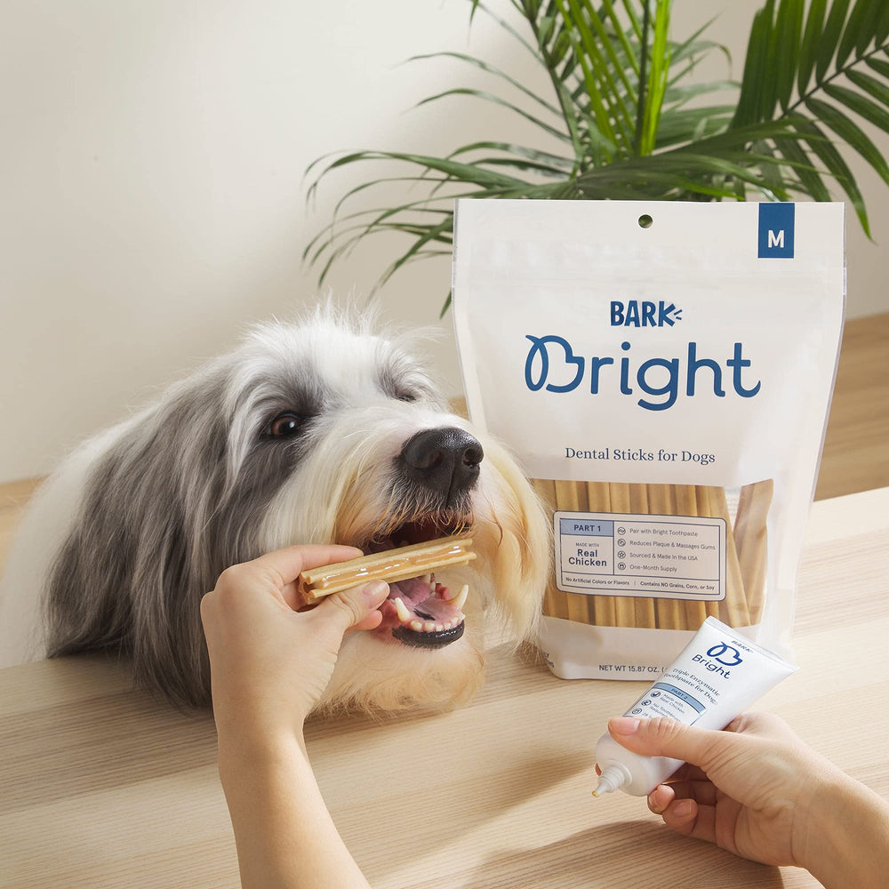 BARK Bright ingrediente pollo real como fortaleza de sabor y nutrición.