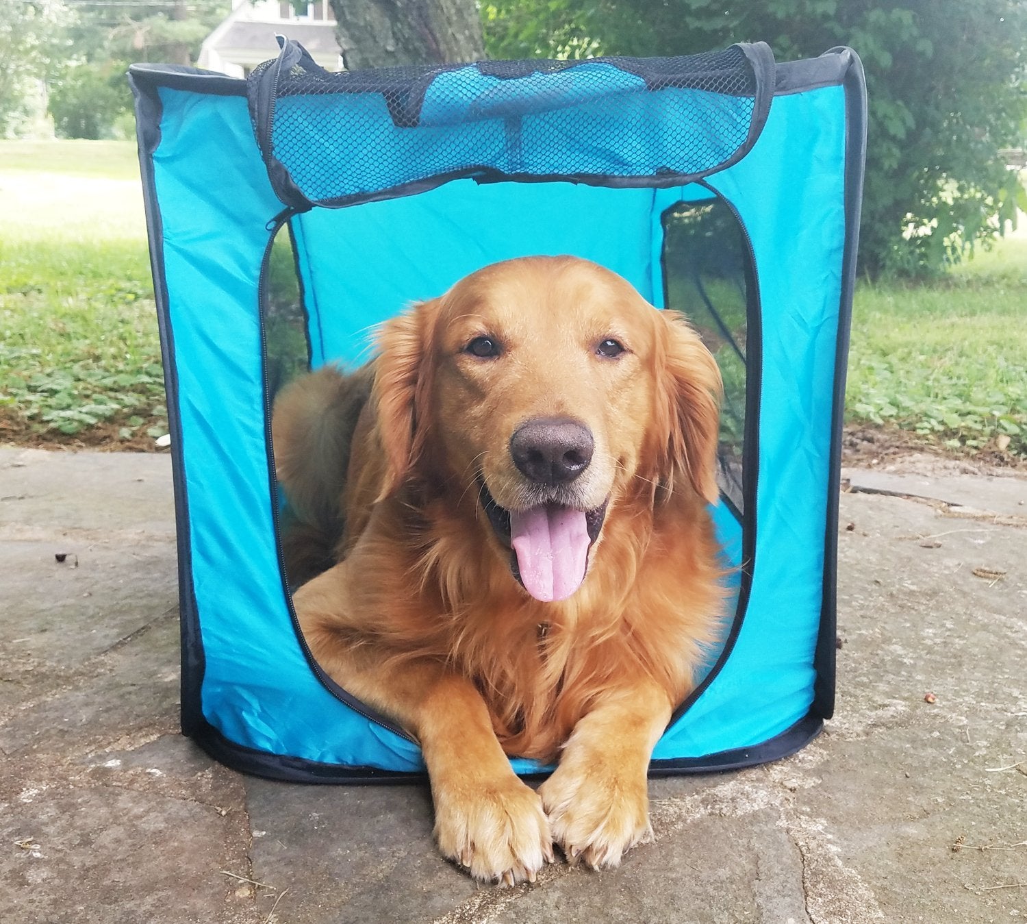 Bark Brite caja de viaje plegable grande lista para viajes con tu mascota