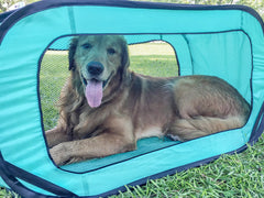 Bark Brite diseño plegable ahorra espacio en casa y coche